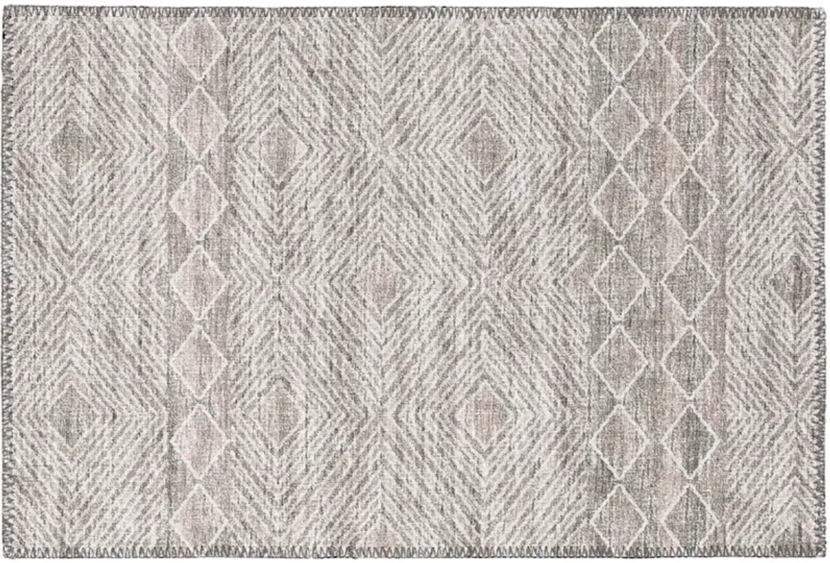 Sedona SN1 Sage 20" x 30" Rug