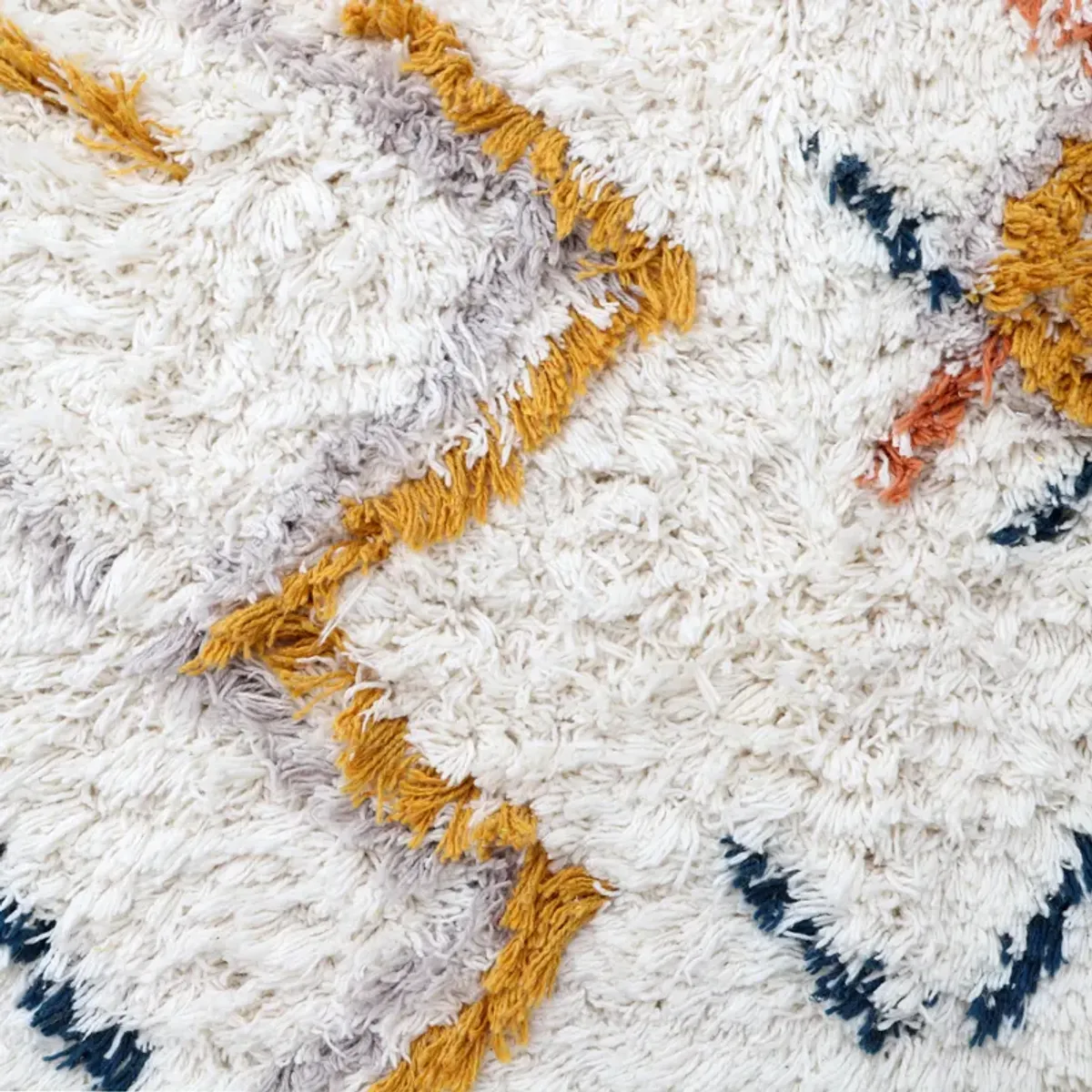 RUG TRISHNA