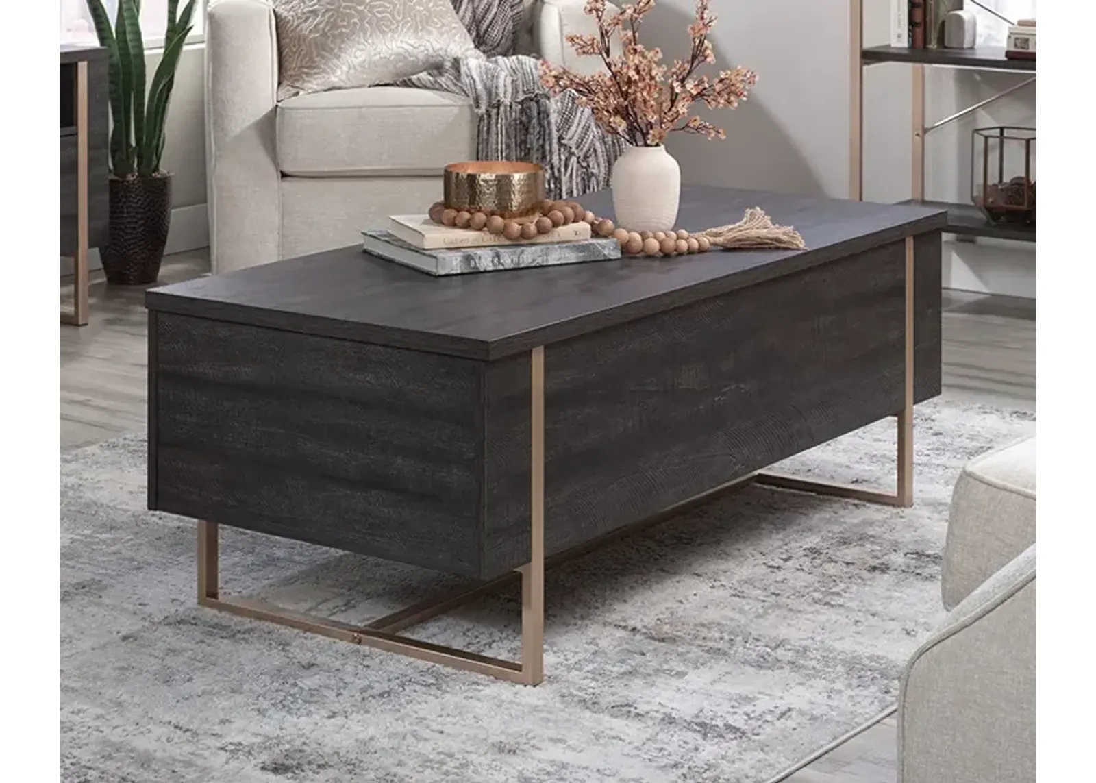 Walter Heights Modern Lift-top Coffee Table