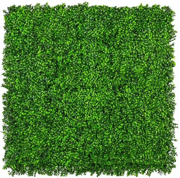 Premium Bright Artificial Boxwood Wall 40" x 40" 11SQ FT Commercial Grade UV Resistant