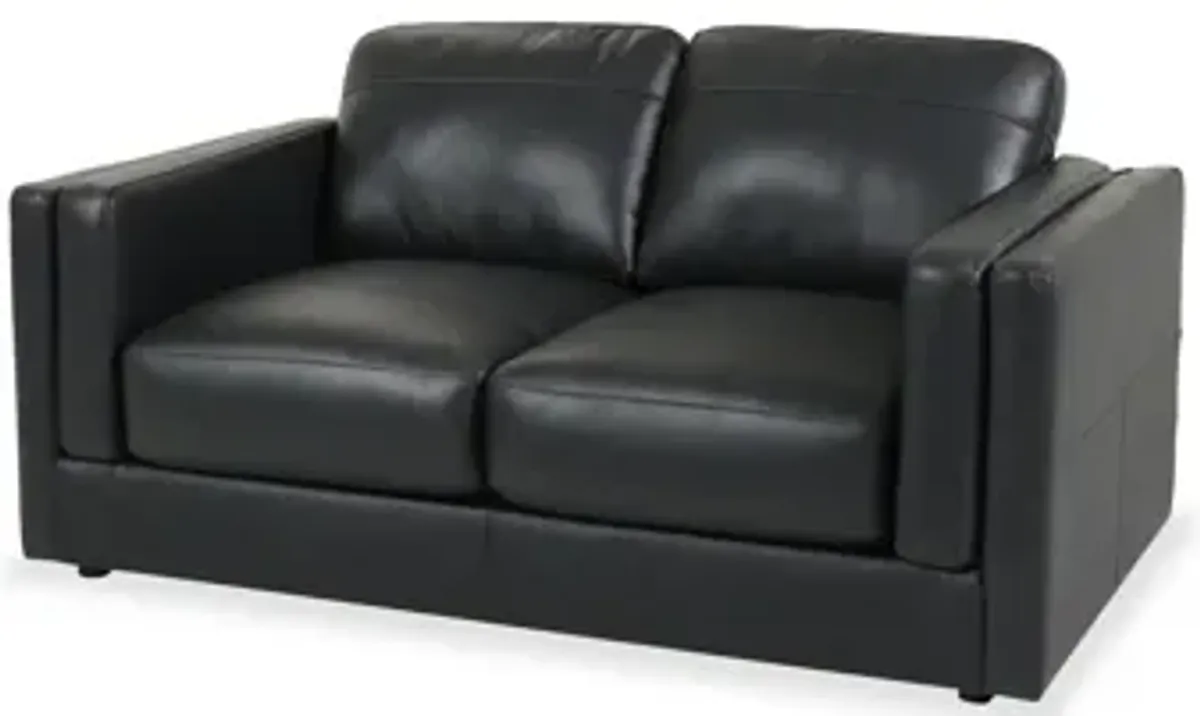 Amiata Leather Loveseat