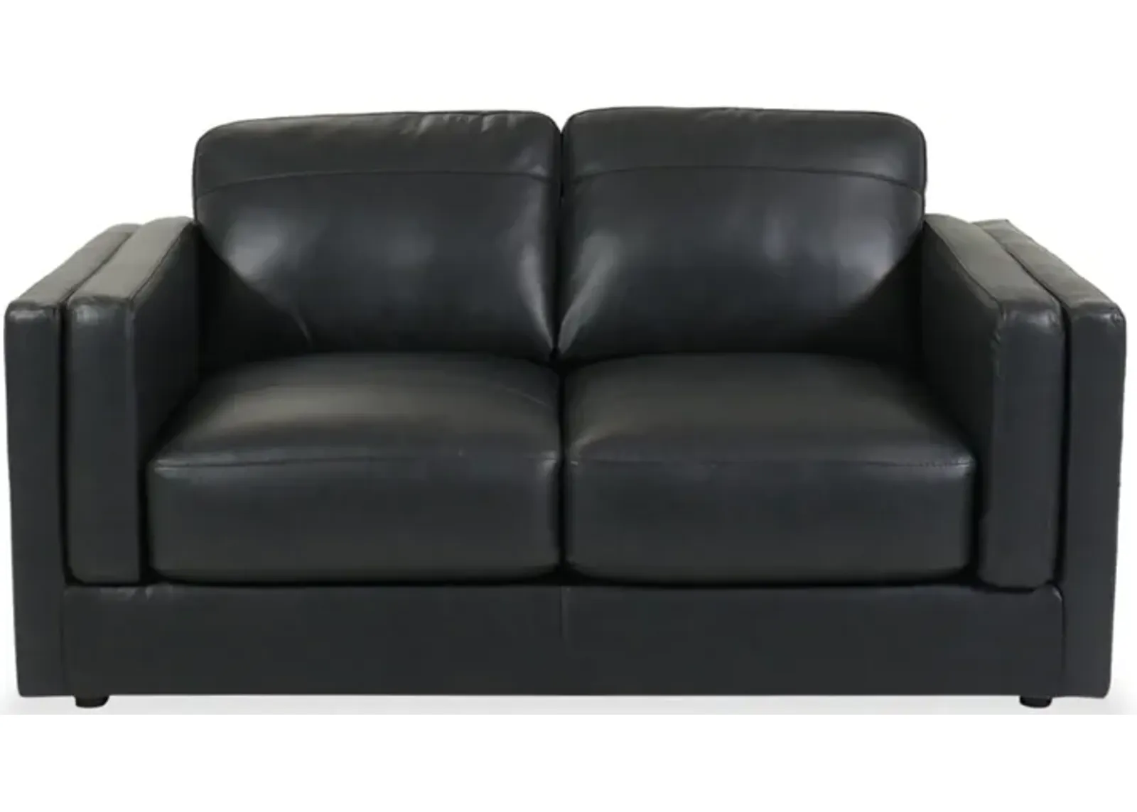 Amiata Leather Loveseat