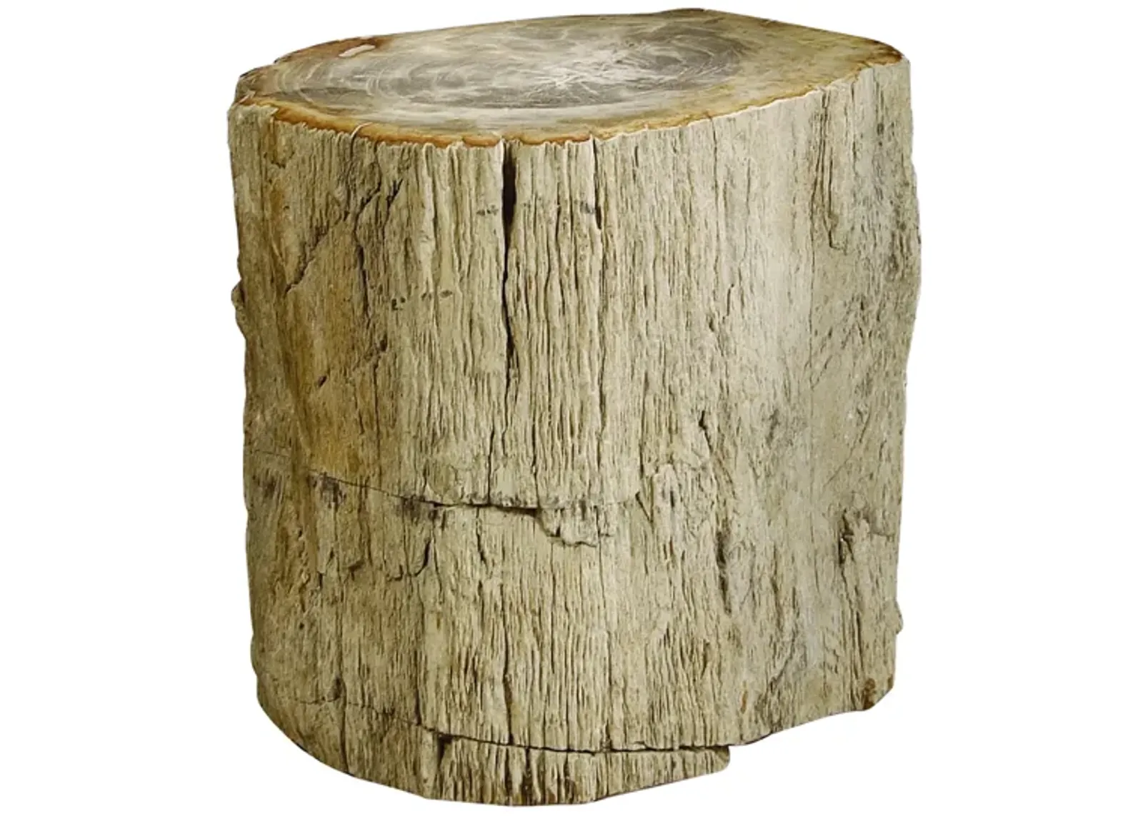 Interiors Petrified Accent Table