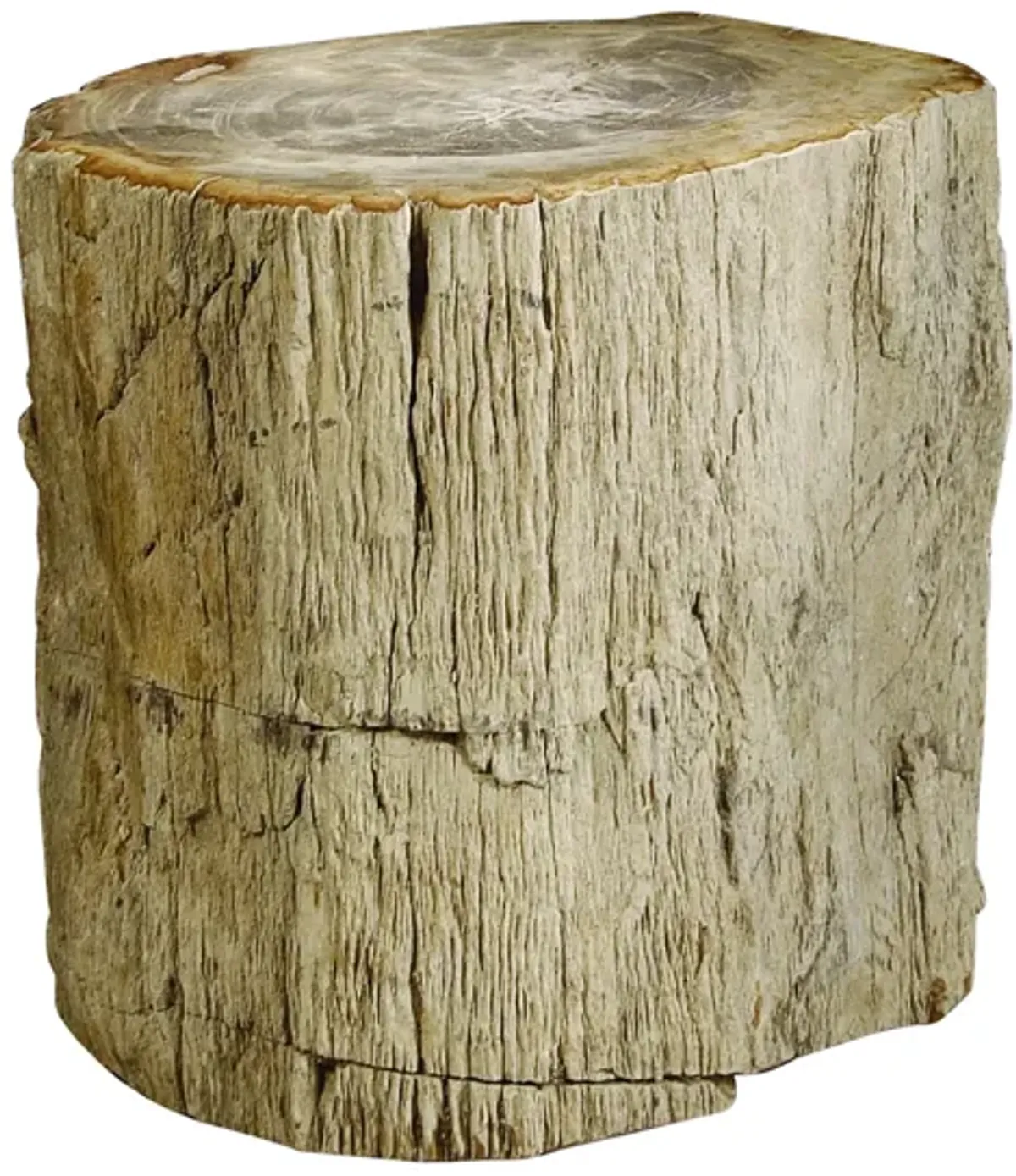 Interiors Petrified Accent Table