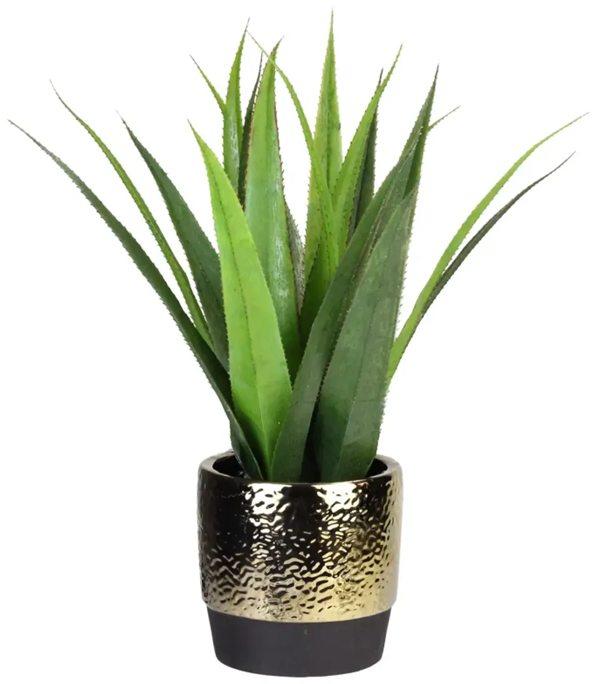 17" Green and Gold Artificial Agave Succulent Plant in a Pot