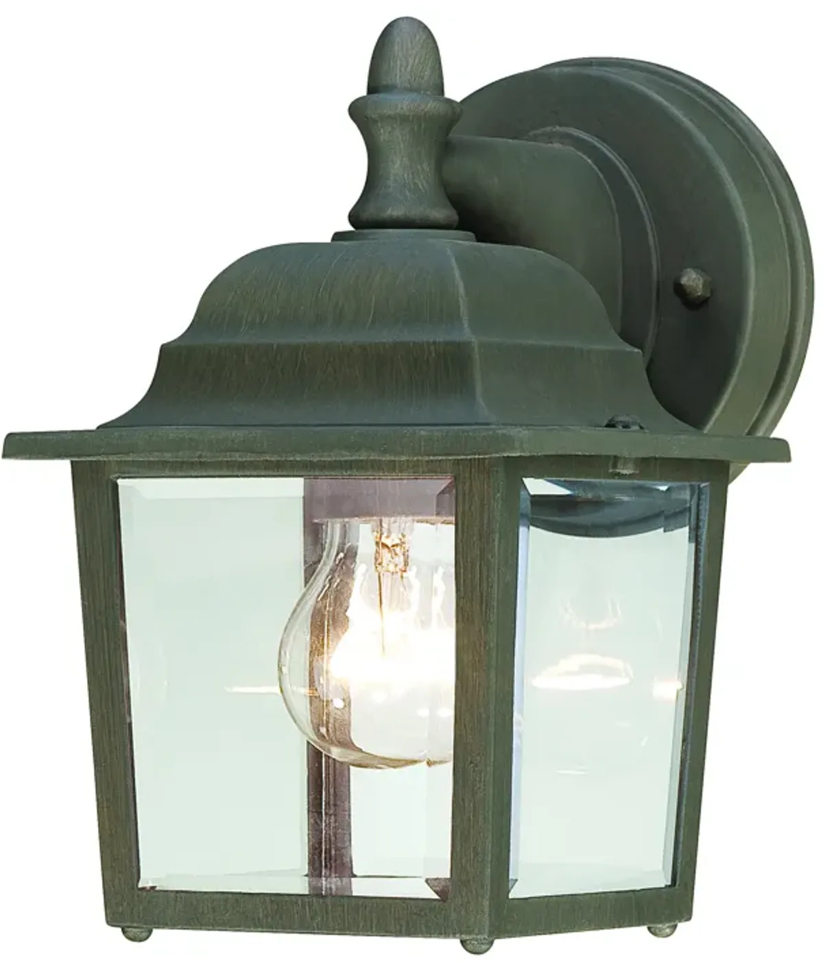 Hawthorne 8.5'' High 1-Light Outdoor Sconce