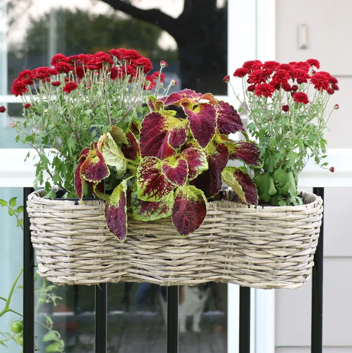 Sunnydaze Polyrattan Hanging Over-the-Rail Tri-Planter and Liner