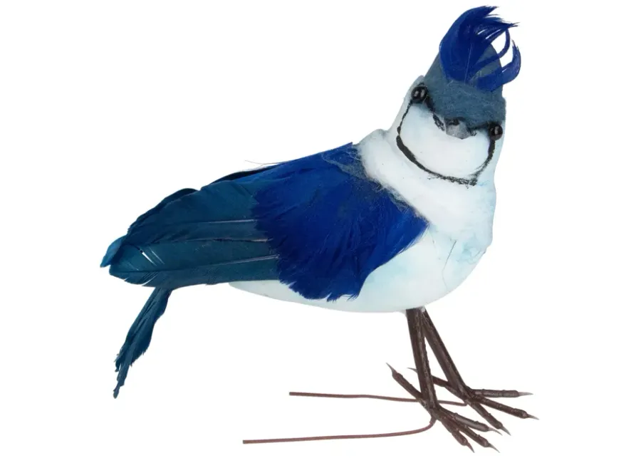 4.5" Blue and White Blue Jay Clip-On Christmas Ornament