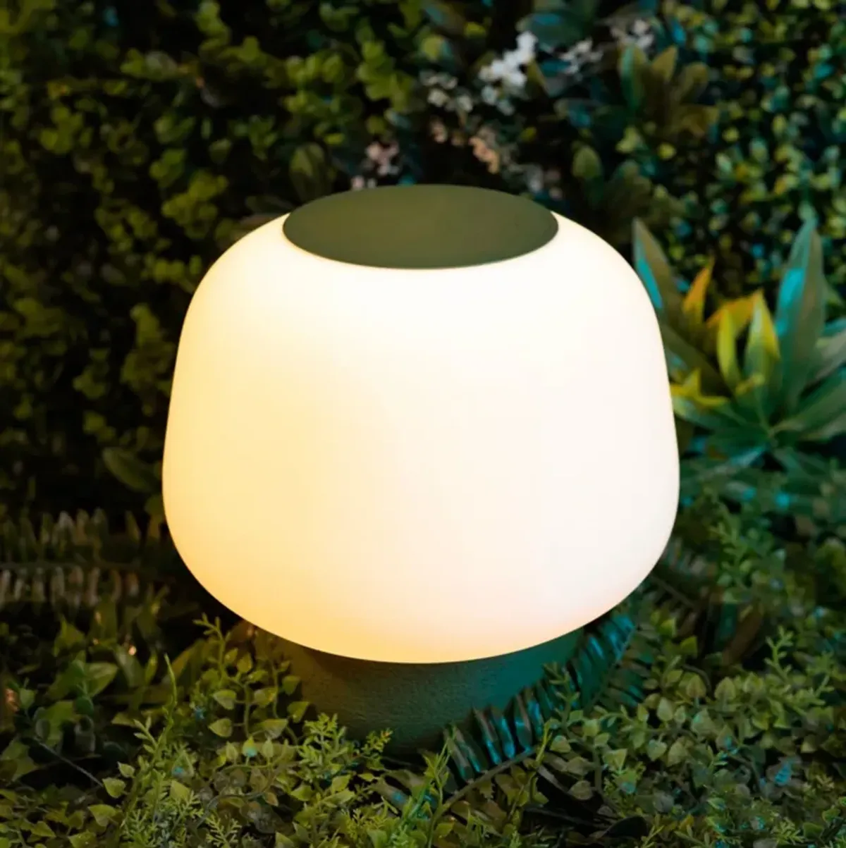 Mushroom Modern Classic Plant-Based PLA 3D Printed Dimmable LED Table Lamp