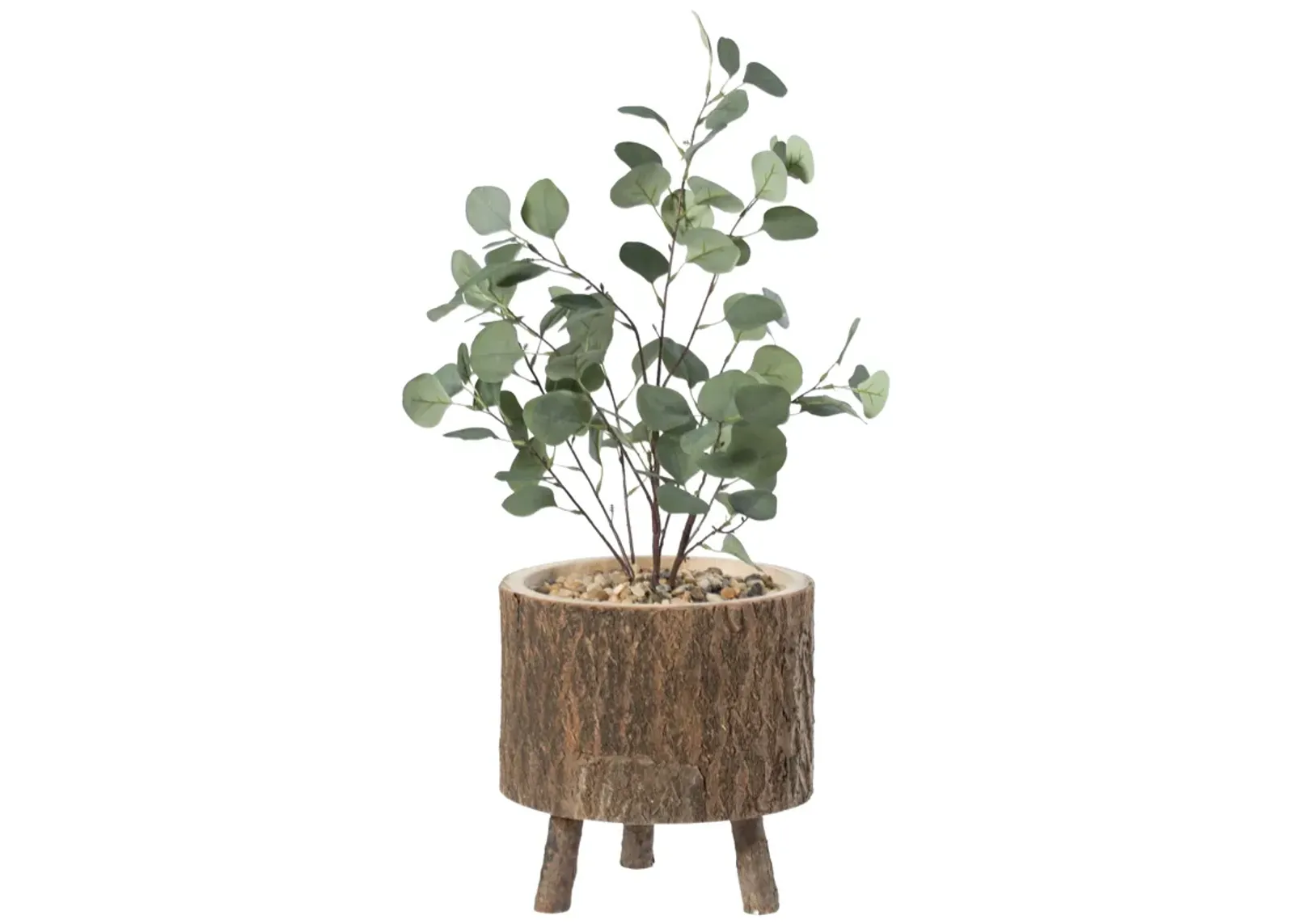 Wooden Stump Tree Log with Bark Planter Pot with Small Tree Branch Legs