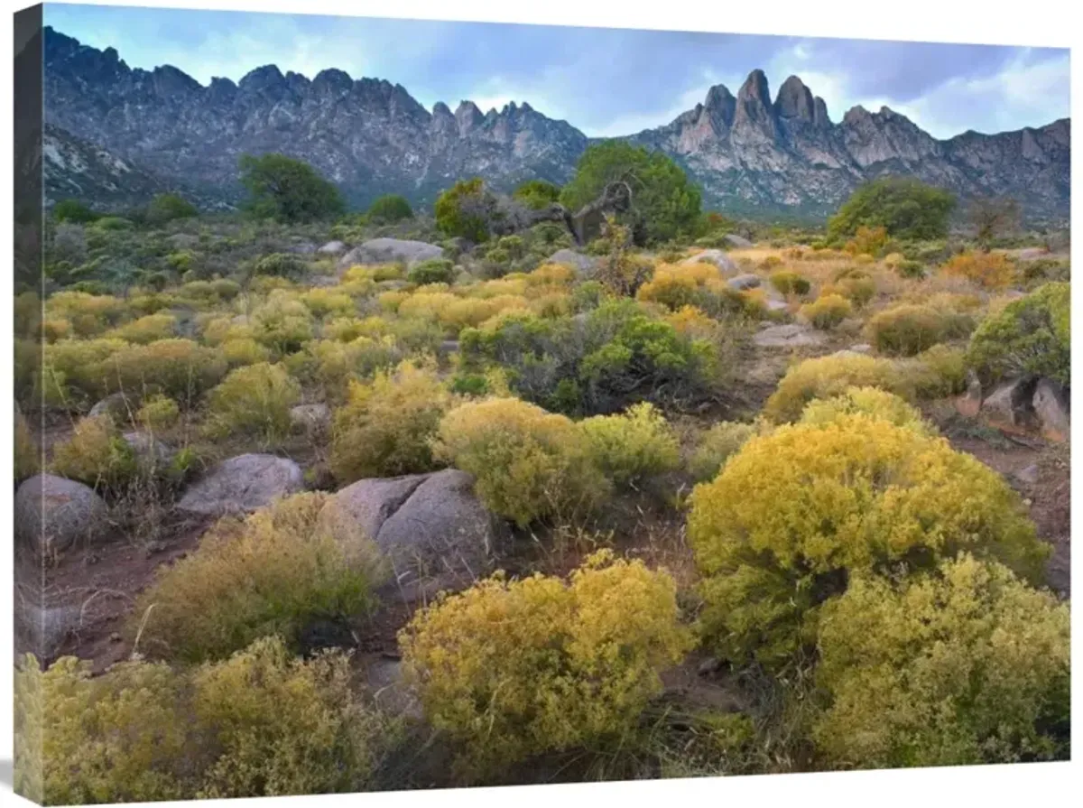 Organ Mountains, Chihuahuan Desert, New Mexico-Canvas Art-32x24