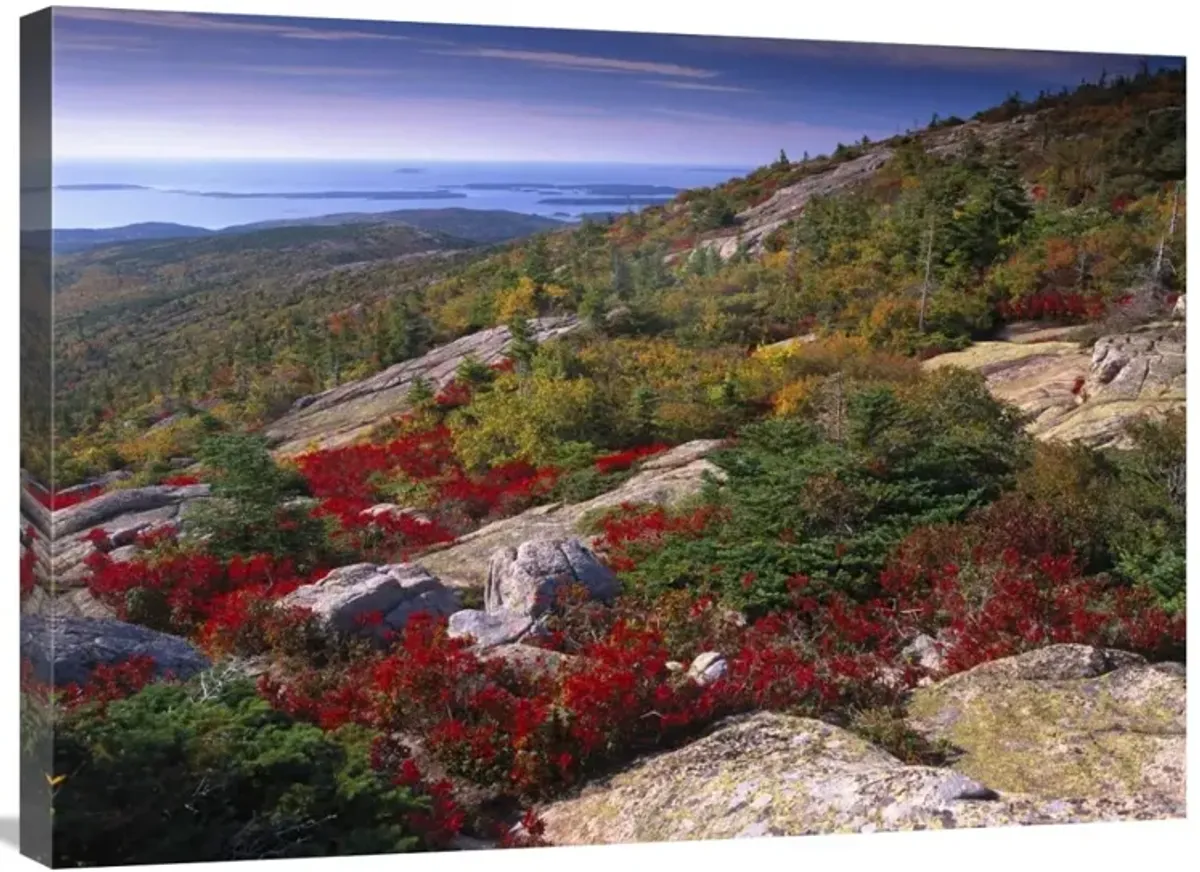 Atlantic coast from Cadillac Mountain, Acadia National Park, Maine-Canvas Art-32x24