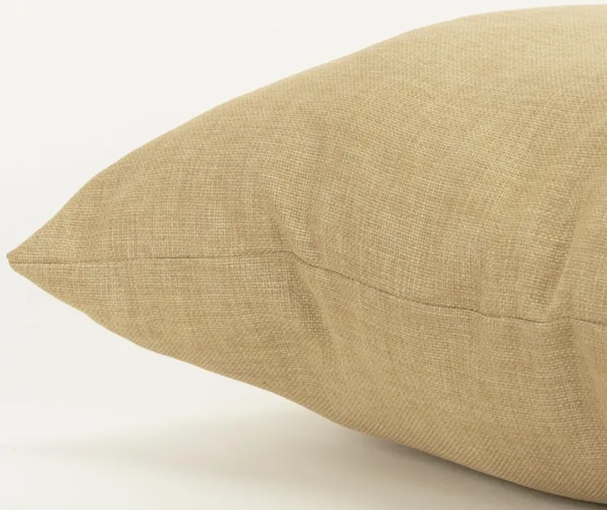 22"x22" Indoor/Outdoor Pillow