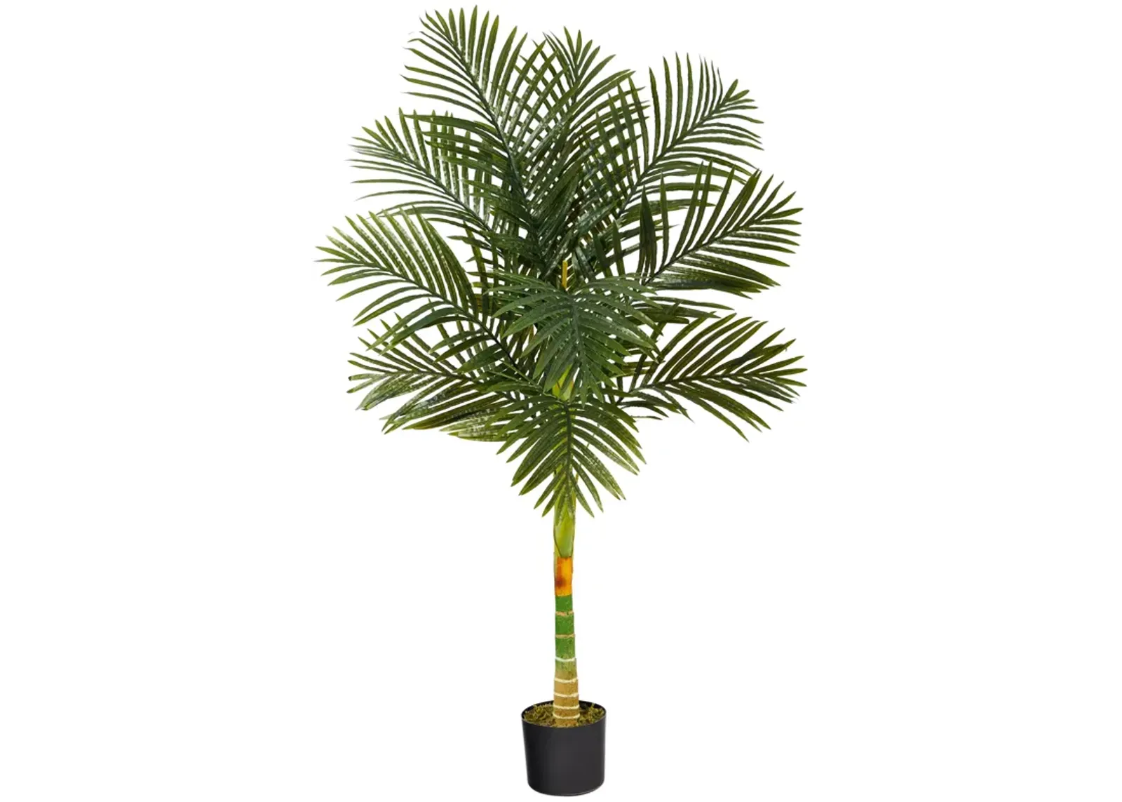 HomPlanti 5 Feet Single Stalk Golden Cane Artificial Palm Tree