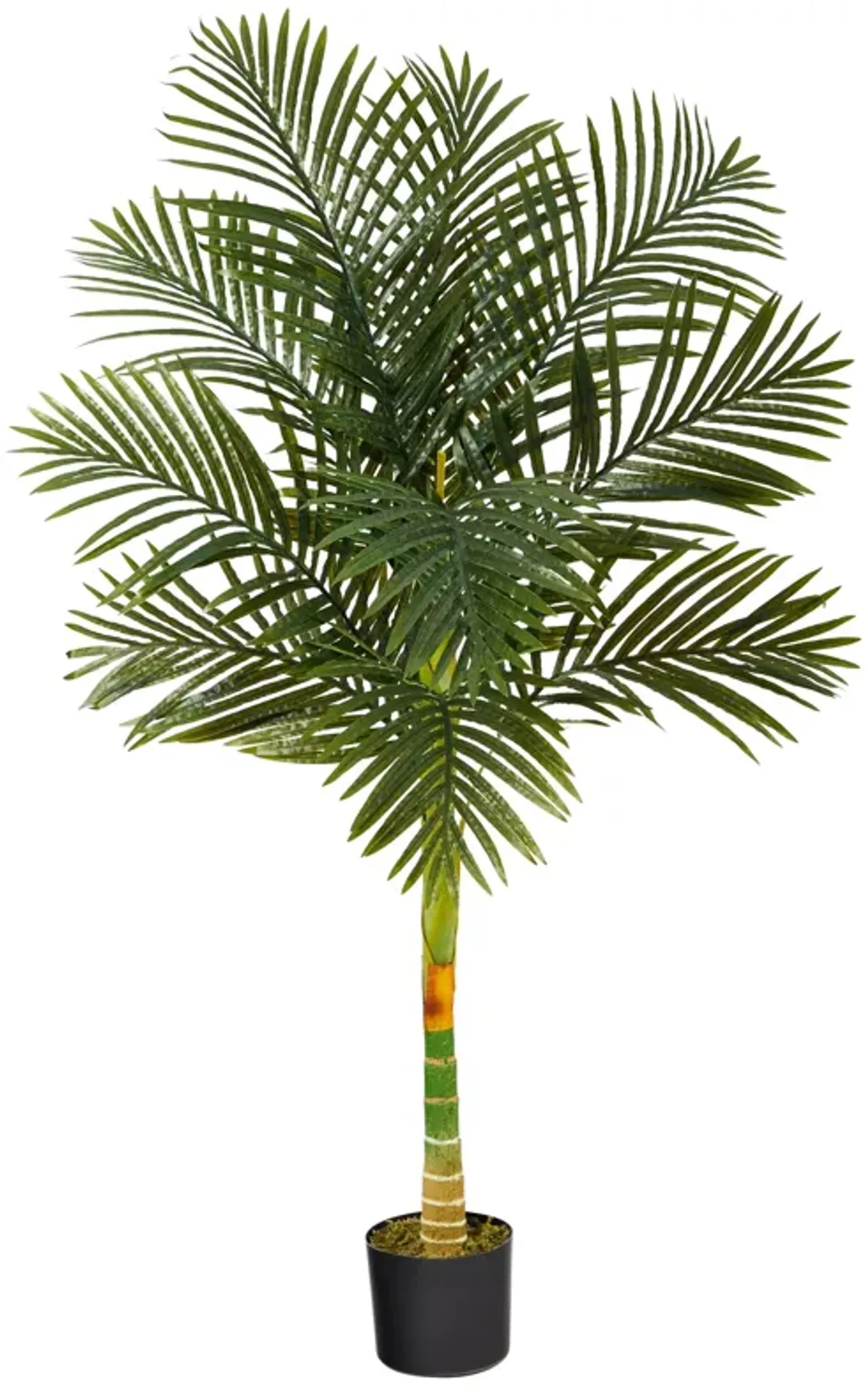 HomPlanti 5 Feet Single Stalk Golden Cane Artificial Palm Tree