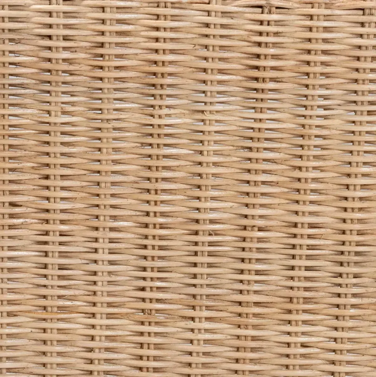 bali & pari Zaira Modern Bohemian Natural Rattan Arm Chair