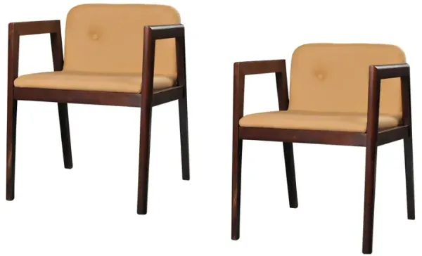Avrum Modern Camel Eco-Leather Dining Chair (Set of 2)