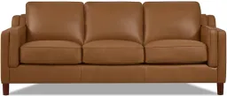 Cognac Brown color