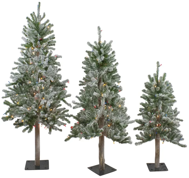 Set of 3 Pre-Lit Flocked Alpine Artificial Christmas Trees 5' - Multi Lights