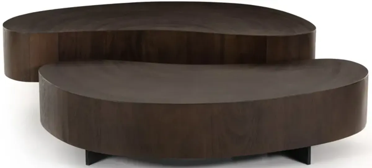 Avett Coffee Table Set