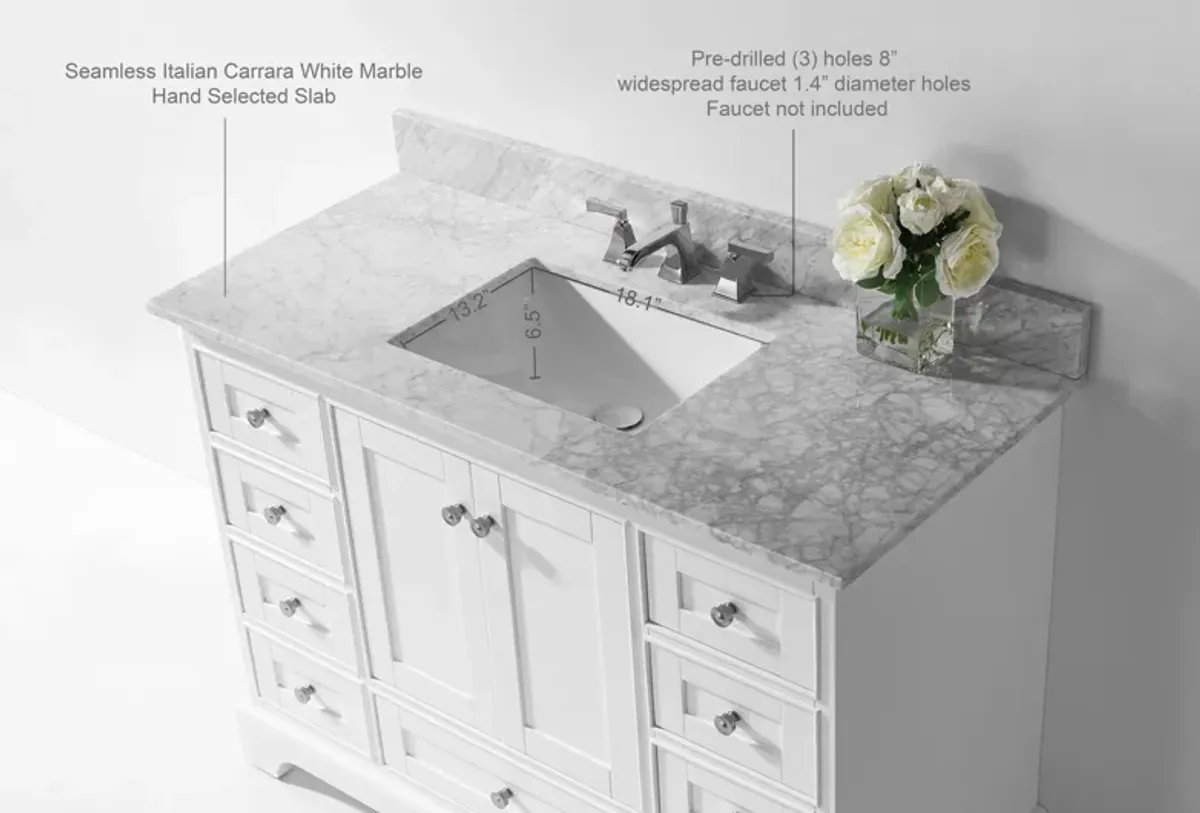 Audrey 48 in. Bath Vanity Set