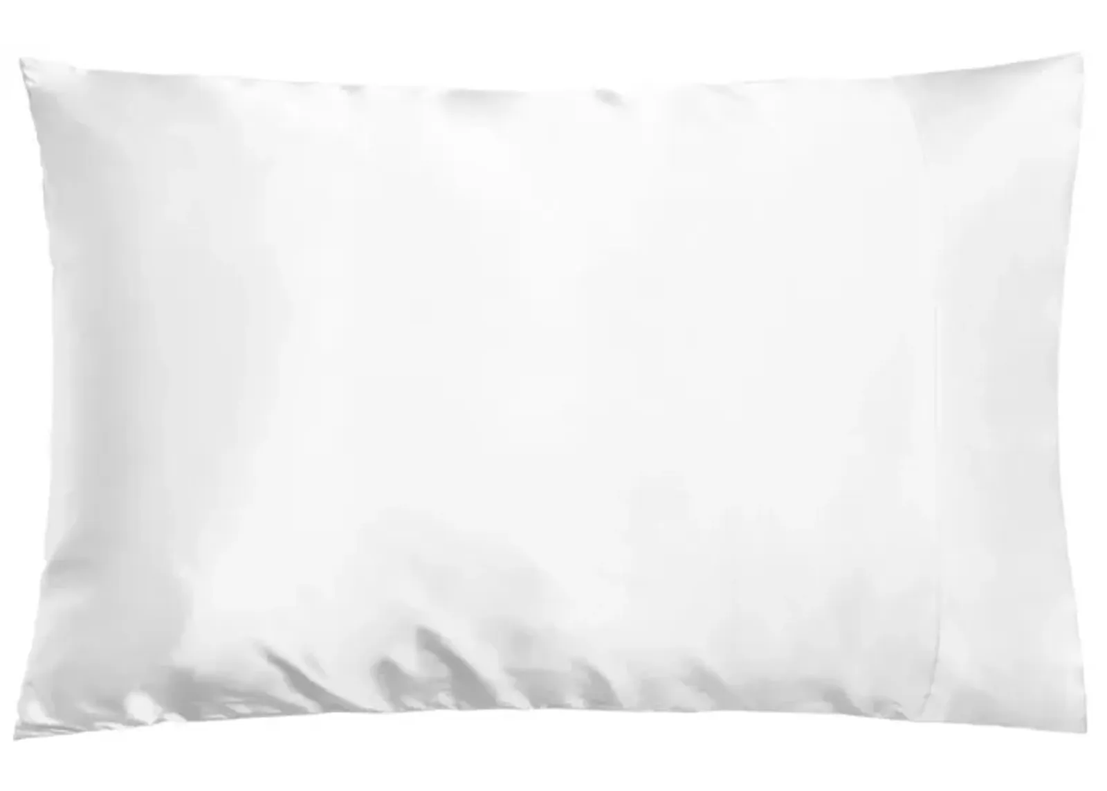 Dual-Sided Silk Pillowcase: Reversible 100% Mulberry Silk 19 Momme 6A one Side, 100% Eucalyptus Other Side