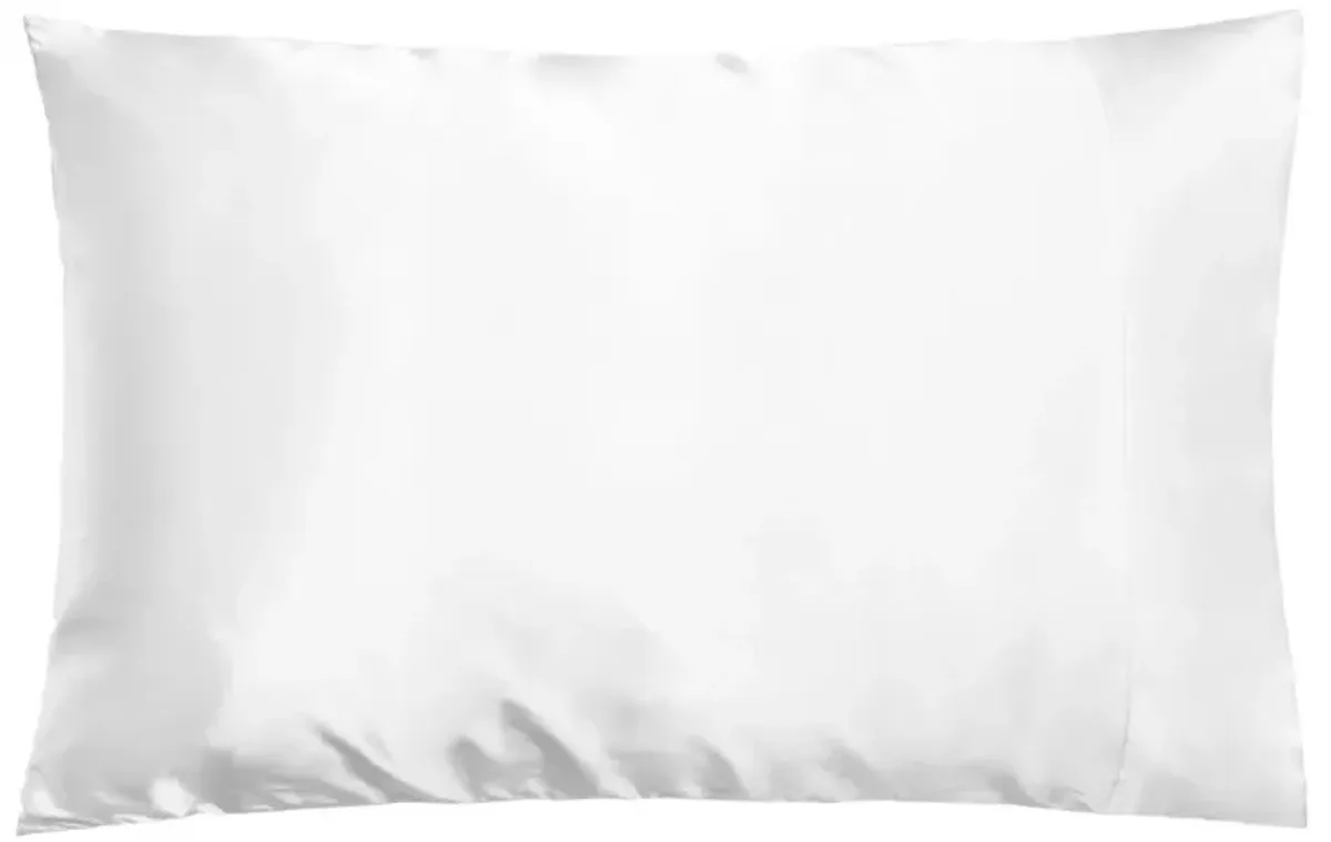 Dual-Sided Silk Pillowcase: Reversible 100% Mulberry Silk 19 Momme 6A one Side, 100% Eucalyptus Other Side