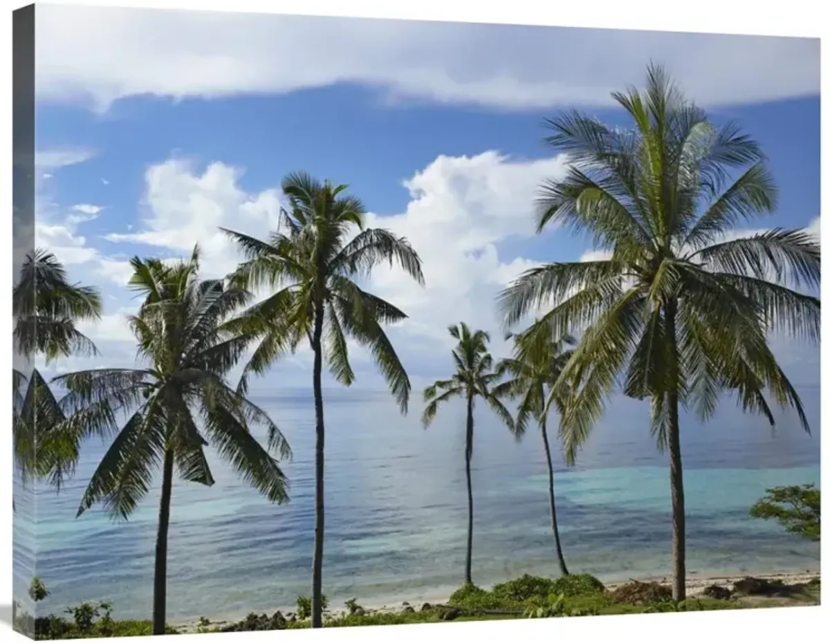 Coconut Palm trees, Bikini Beach, Panglao Island, Philippines-Canvas Art-32x24