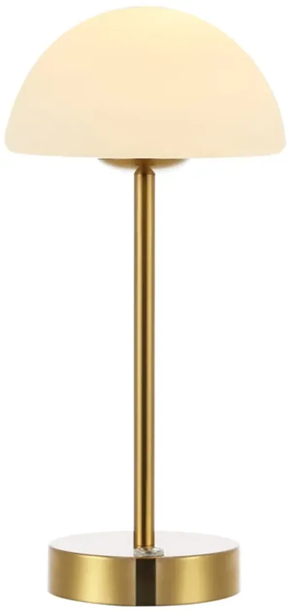 Xavier Modern Minimalist Iron Rechargeable Integrated LED Table Lamp