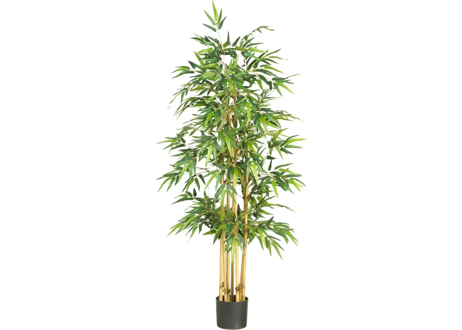 HomPlanti 64" Bamboo Silk Tree