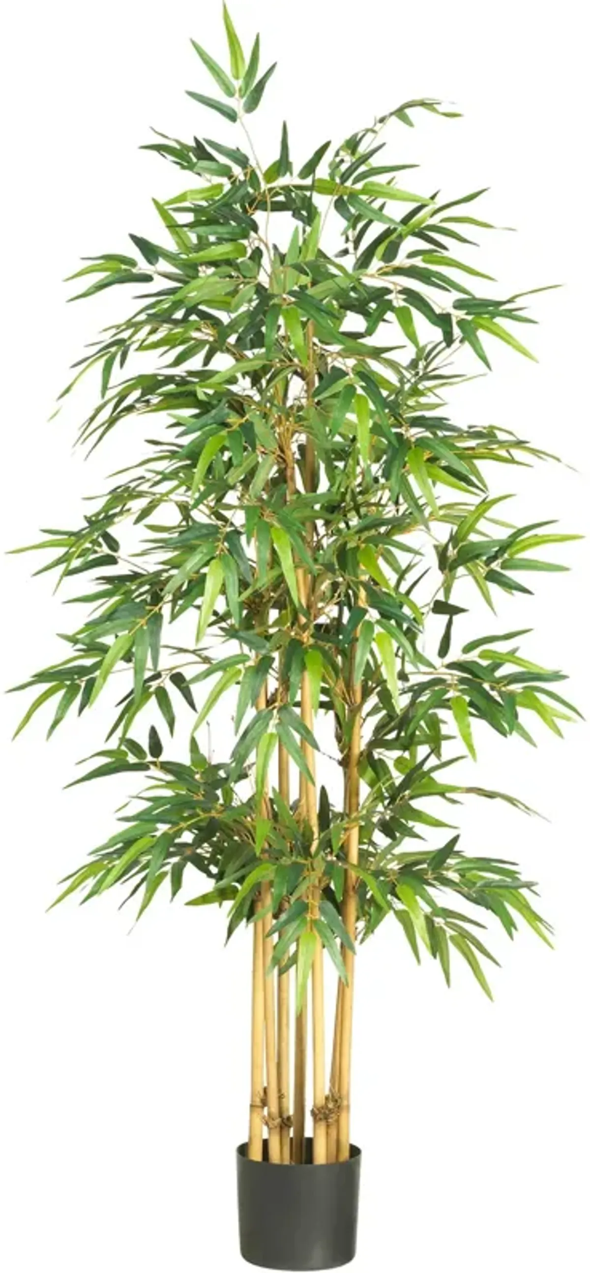 HomPlanti 64" Bamboo Silk Tree