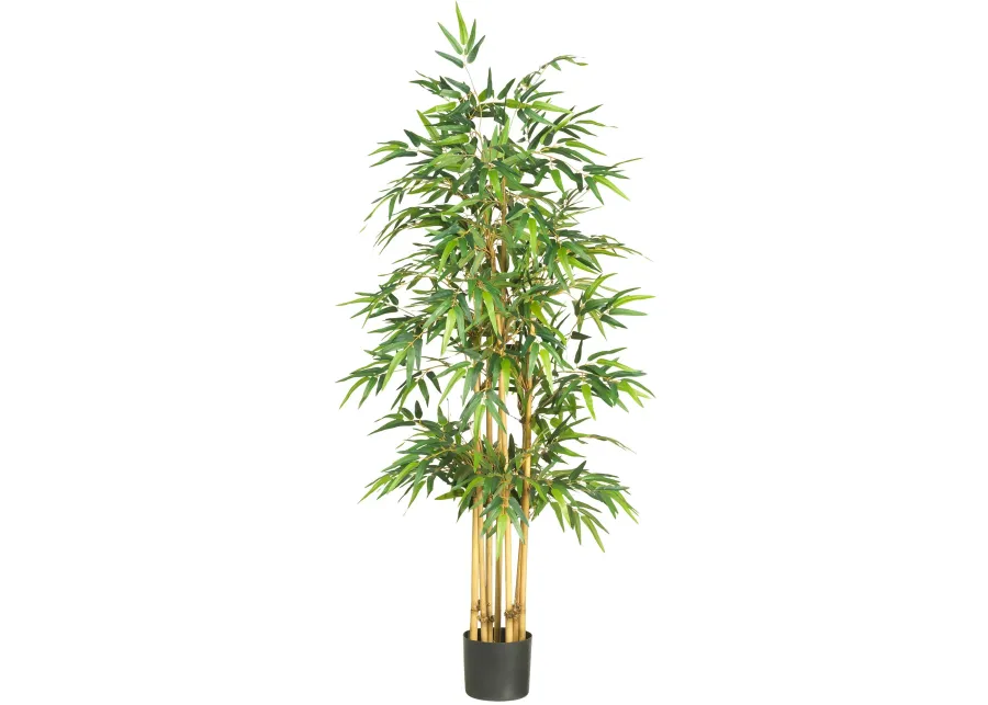 HomPlanti 64" Bamboo Silk Tree