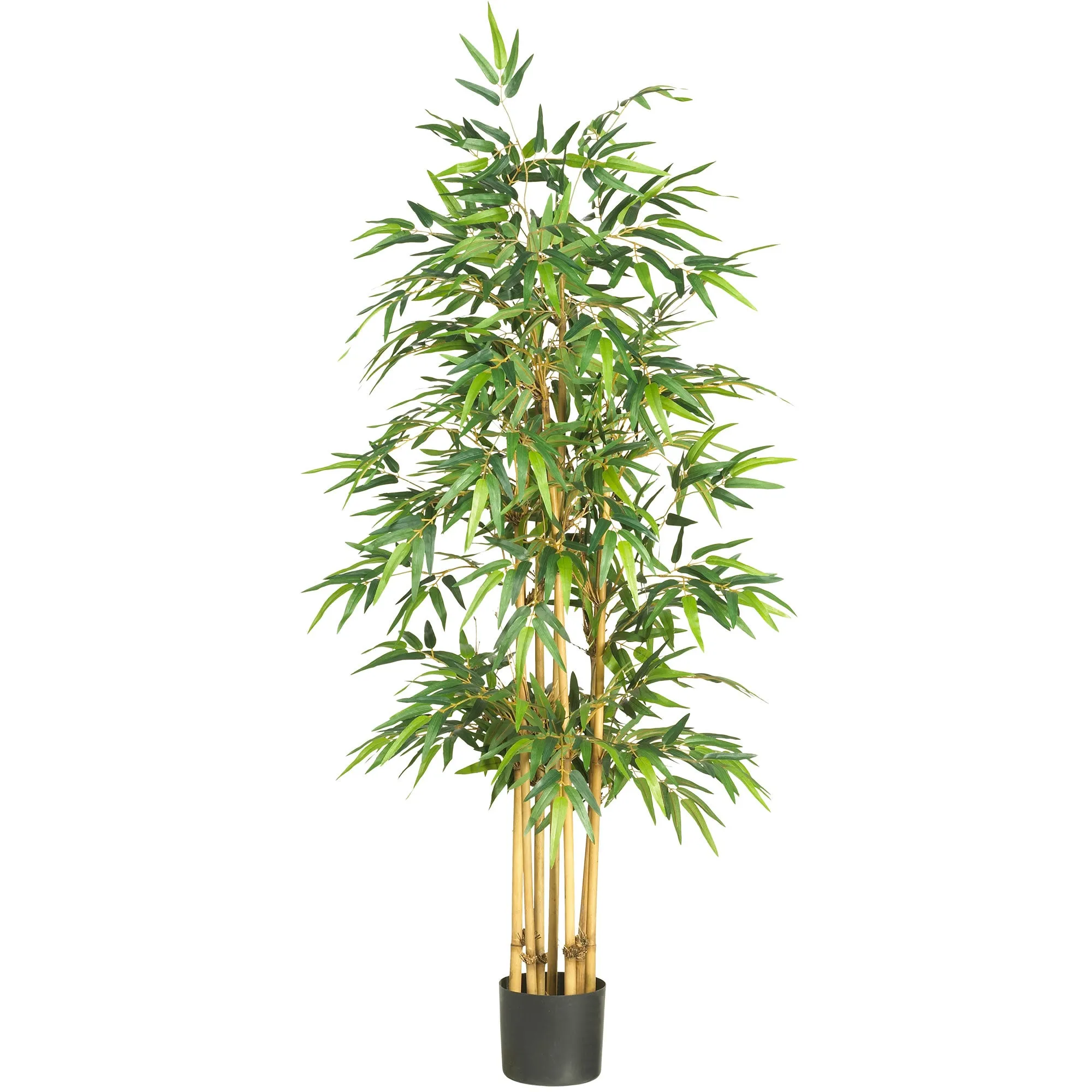 HomPlanti 64" Bamboo Silk Tree