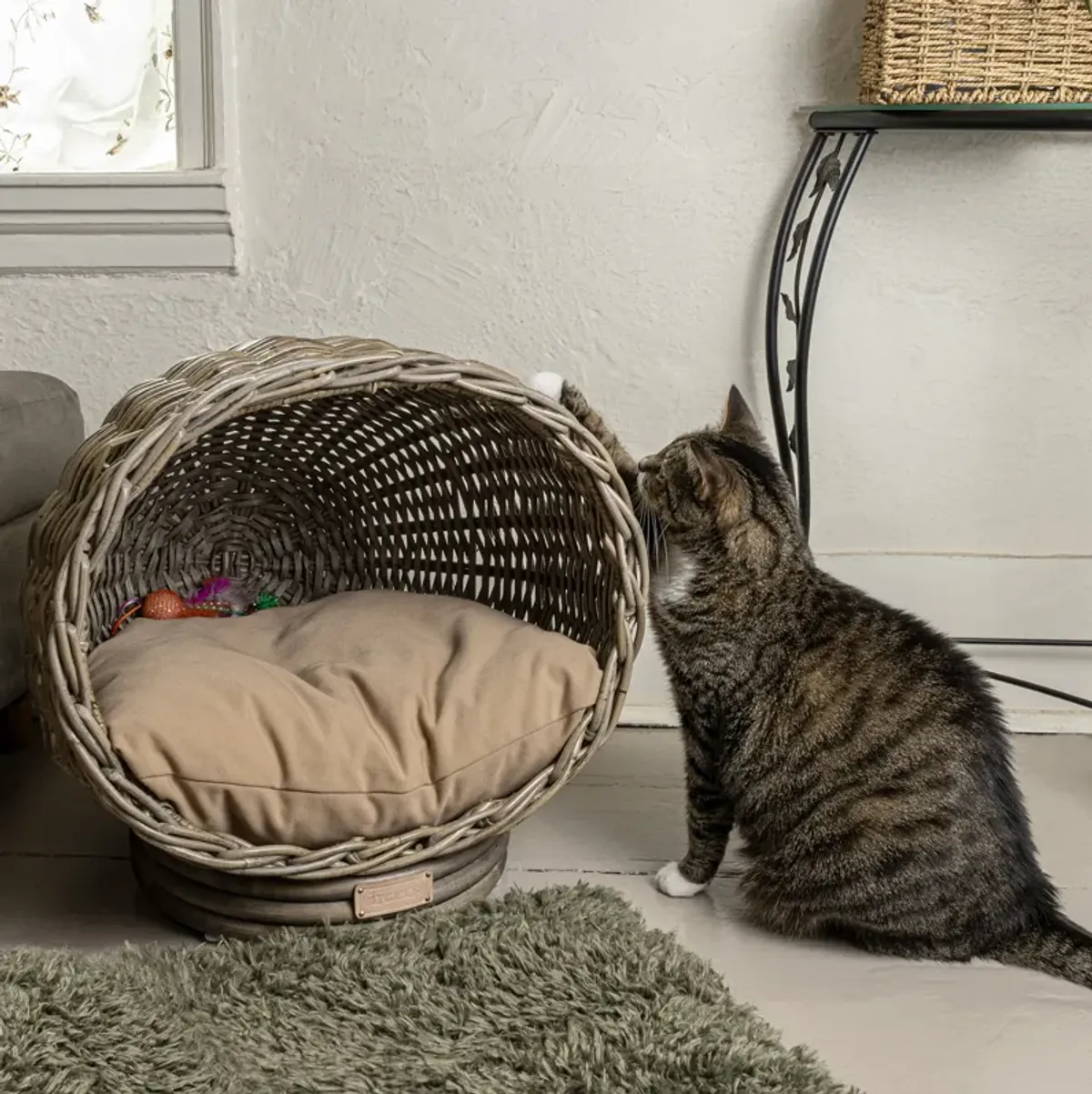 Socket Dome Bohemian Handwoven Rattan Cat Bed with Machine-Washable Cushion