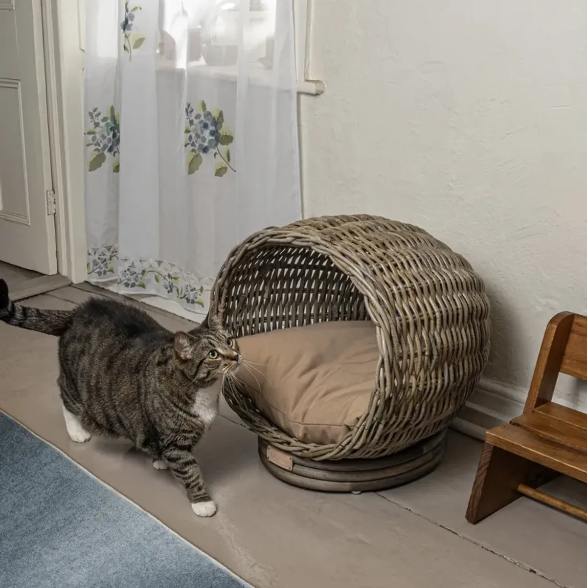 Socket Dome Bohemian Handwoven Rattan Cat Bed with Machine-Washable Cushion