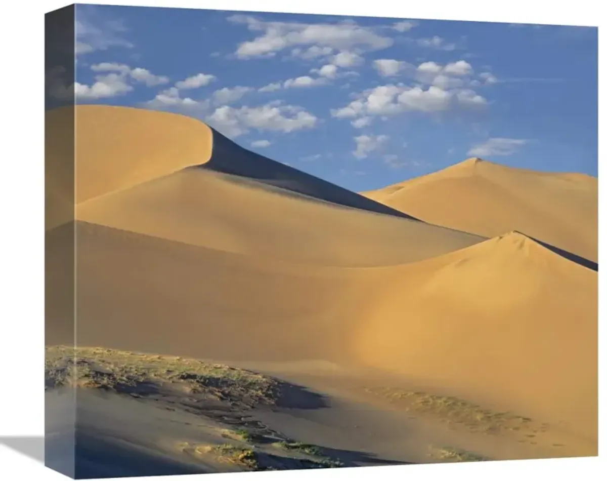 Sand dunes, Great Sand Dunes National Monument, Colorado-Canvas Art-16x13.92
