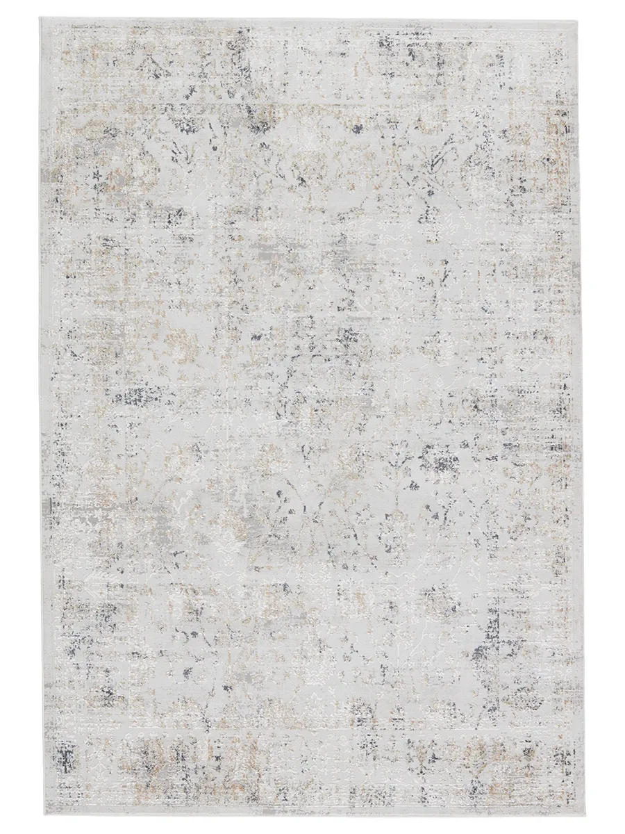 Cirque Vida Gray 3'11" x 5'11" Rug