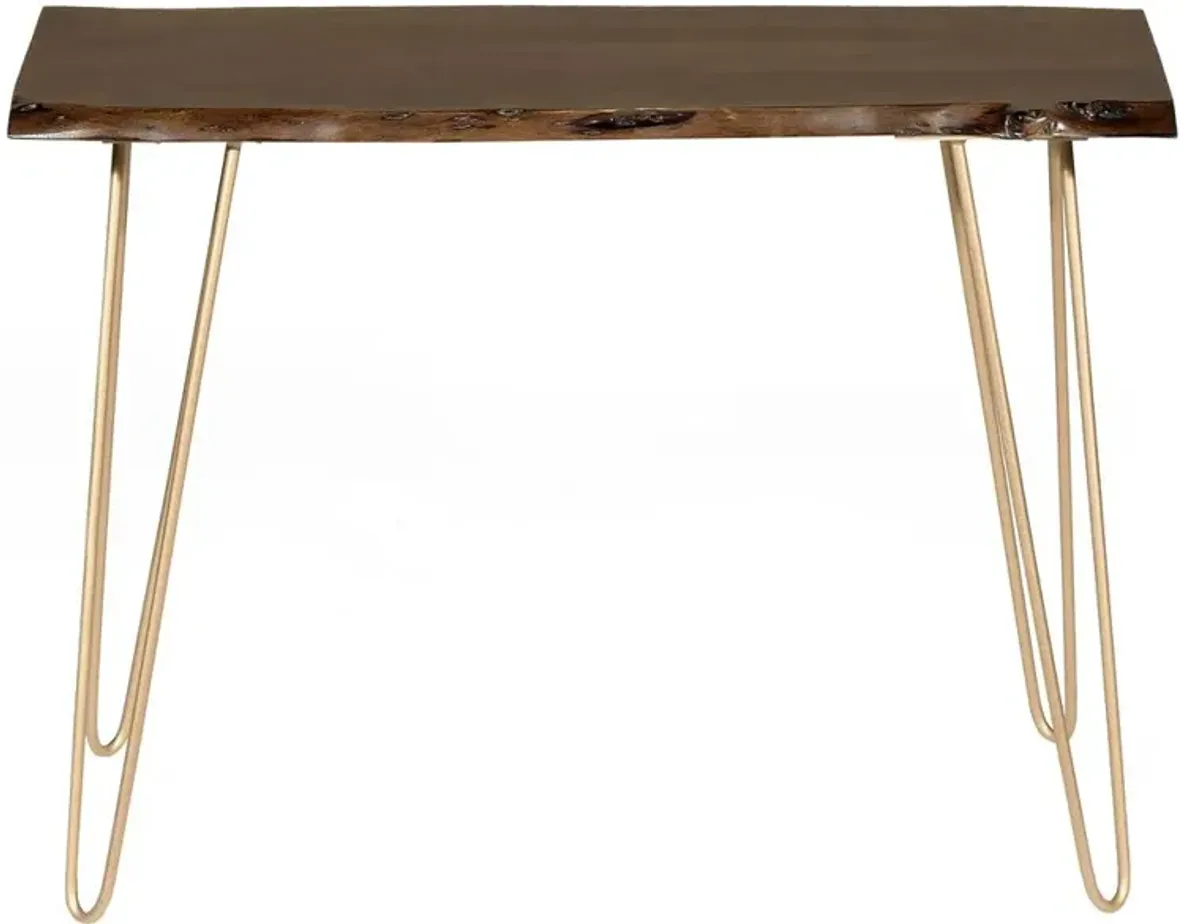 Carolina Living Seti Live Edge Console Table - Elm Top - Gold Base