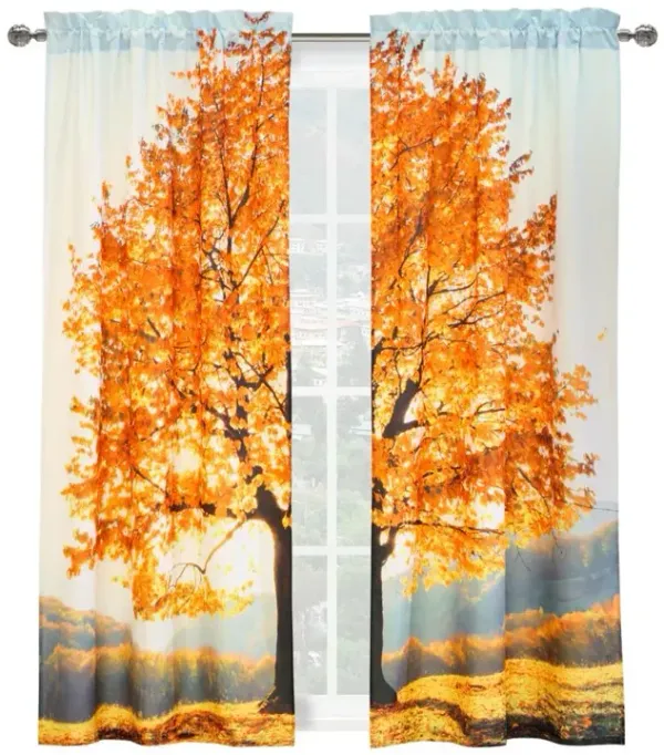 Habitat Photo Real Autumn Sensation Colorful Fall Tree Light Filtering Pole Top Curtain Panel Pair Each 38" x 84" Multicolor