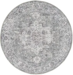 Ivory Gray color