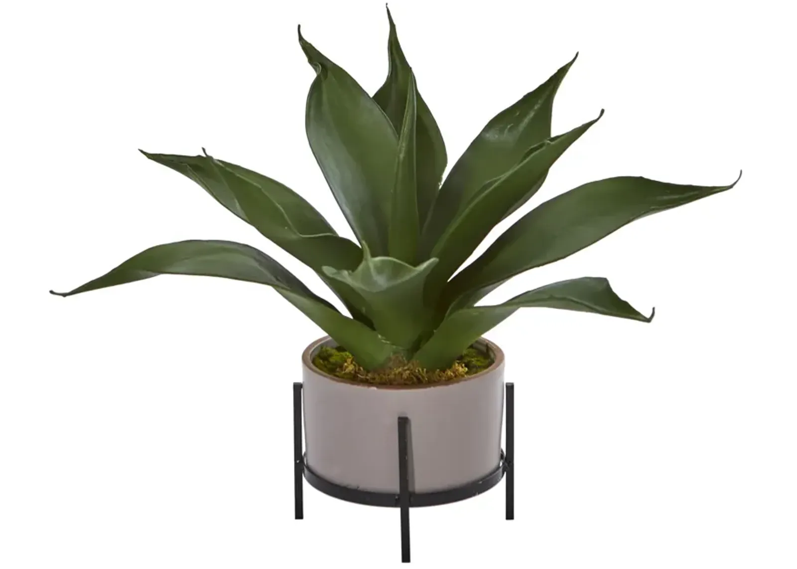 HomPlanti 14" Agave Succulent in Decorative Planter