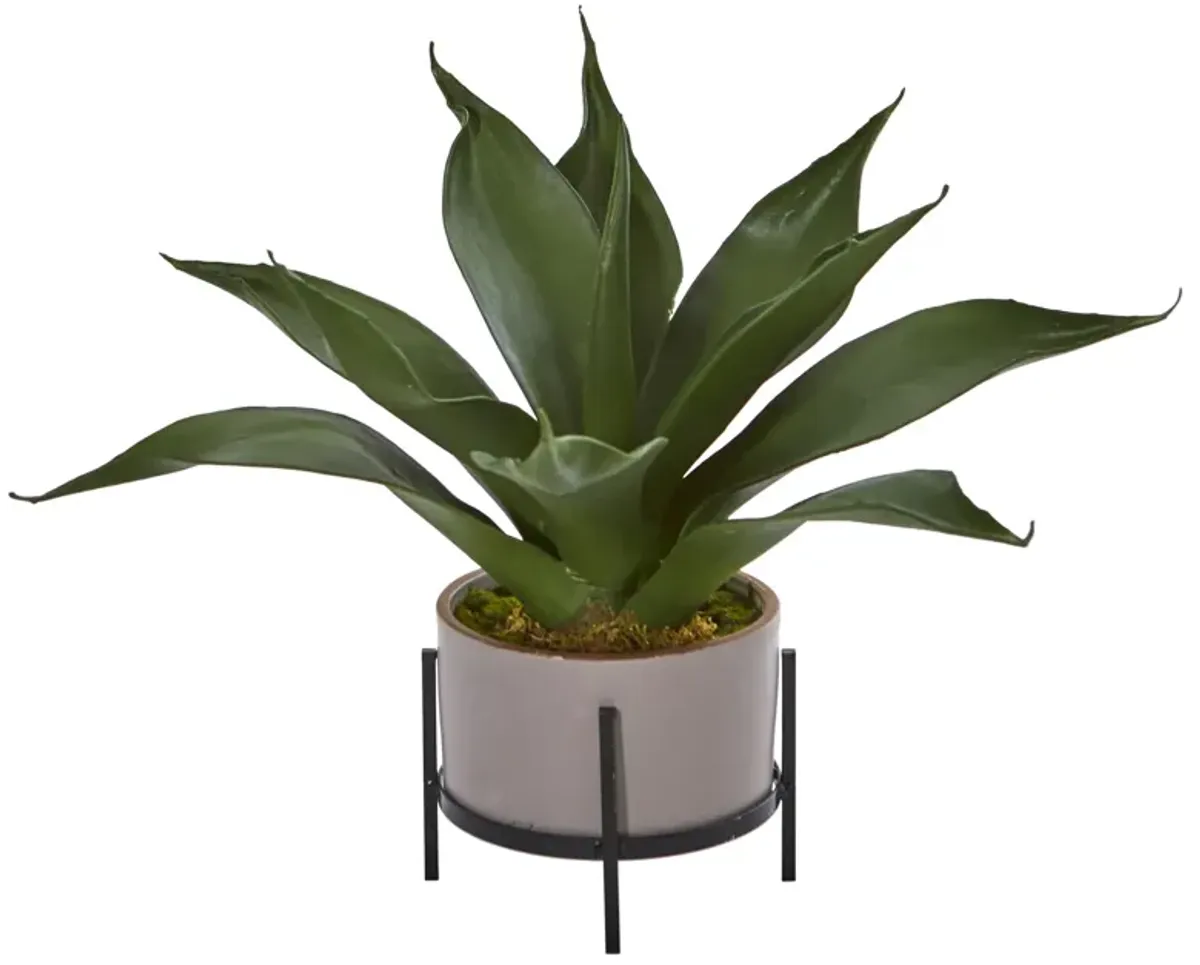 HomPlanti 14" Agave Succulent in Decorative Planter