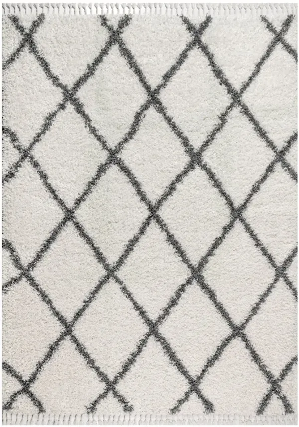 Gabrielle Mercer Shag Plush Tassel Moroccan Geometric Trellis Area Rug