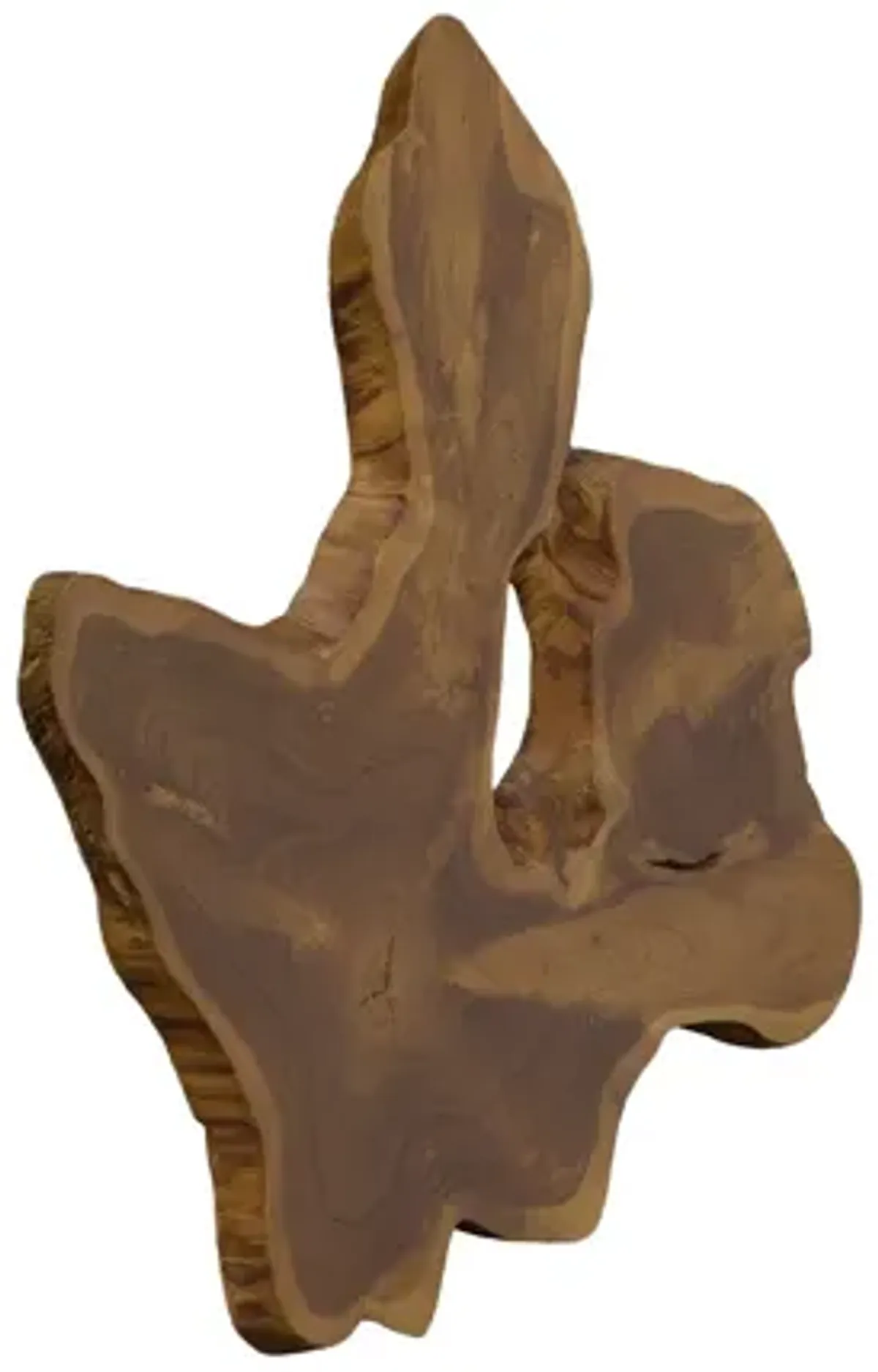 Freeform Teak Wall Slice