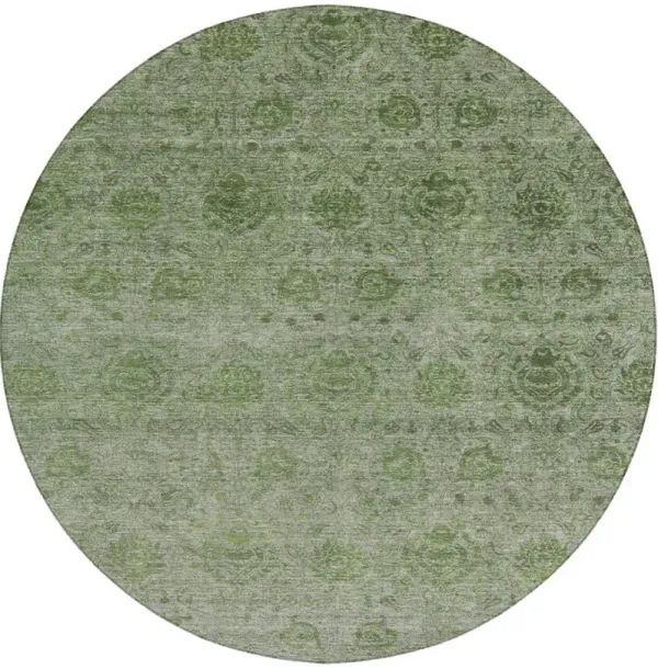 Burano BU8 Olive 8' Rug