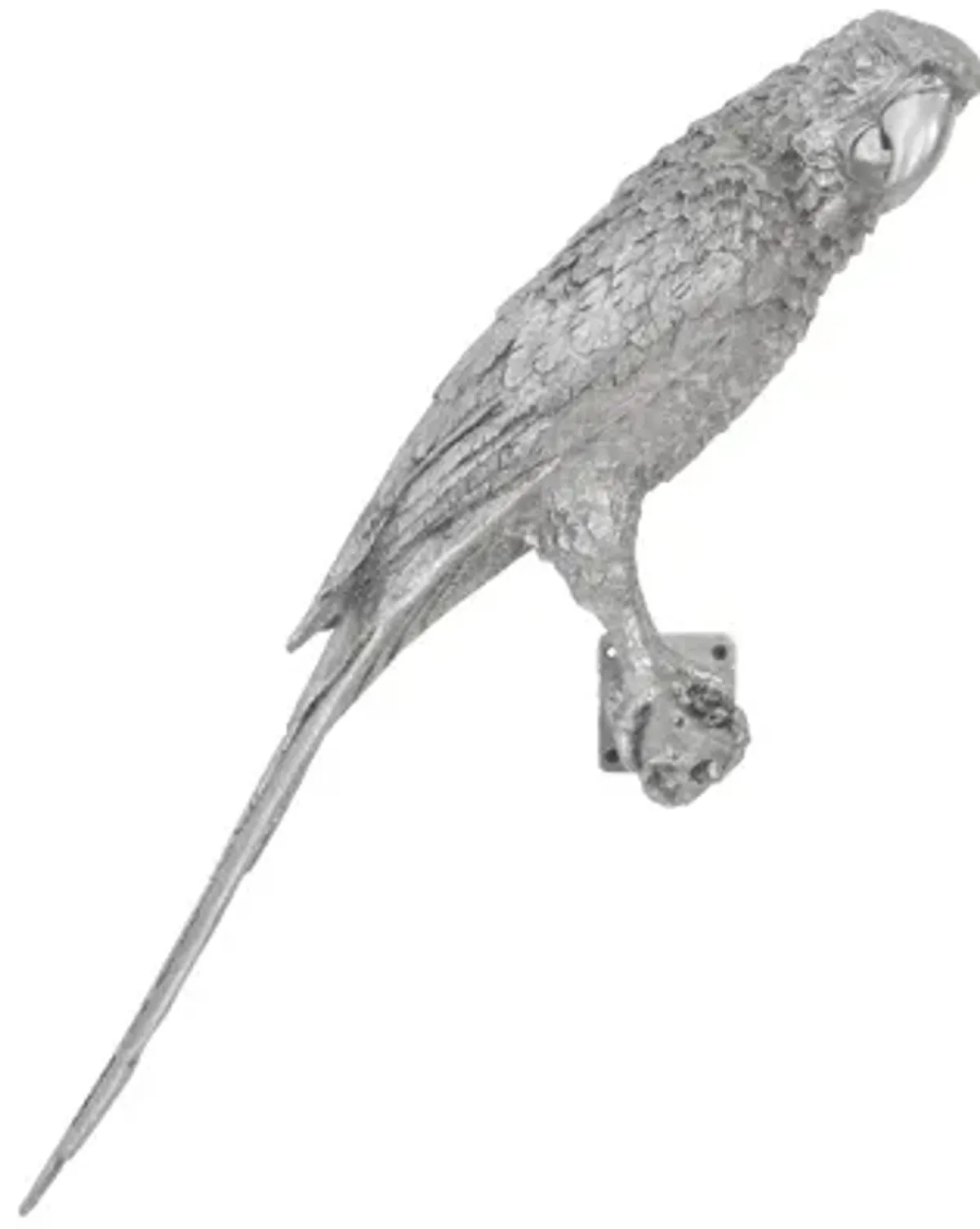 Parrot Looking Right Wall Art