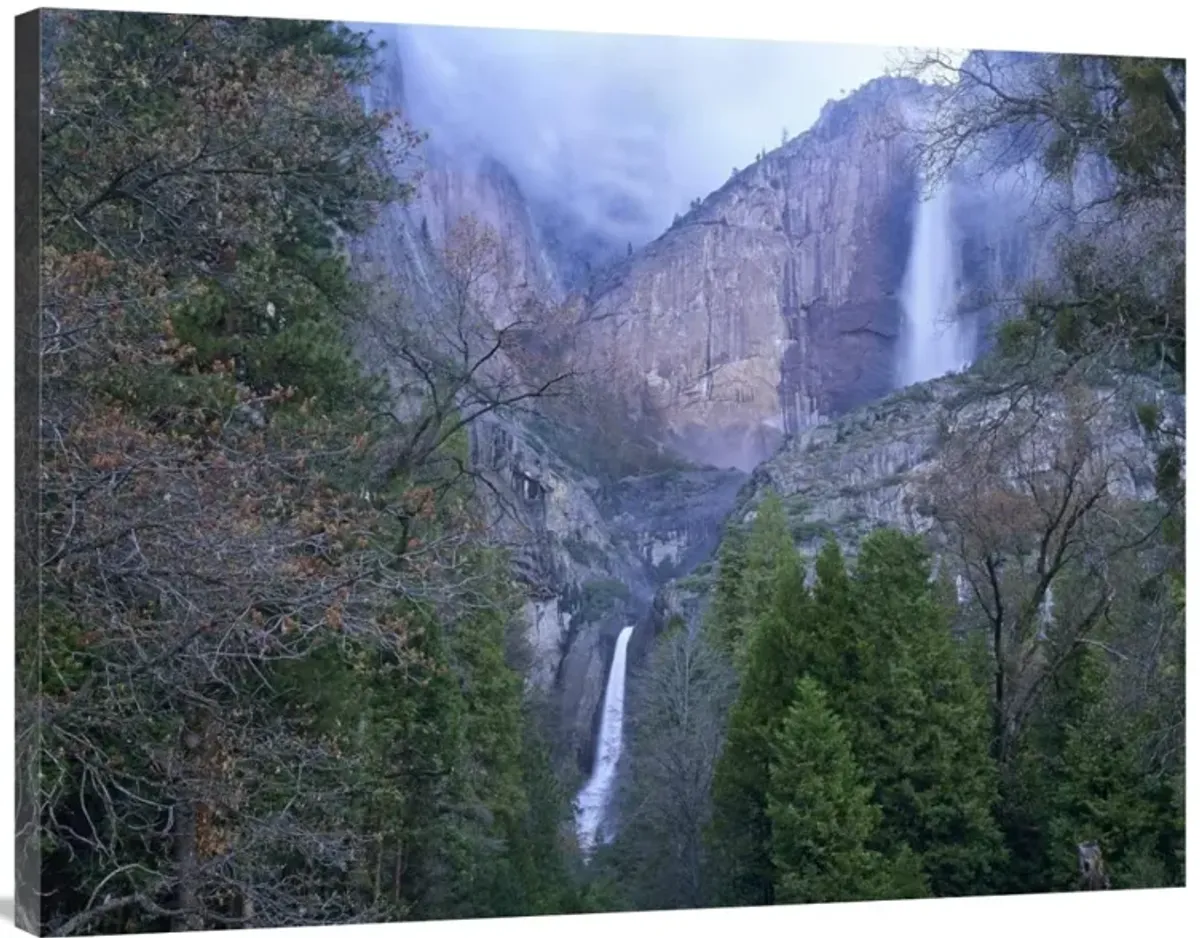 Yosemite Falls in spring, Yosemite National Park, California-Canvas Art-40x30