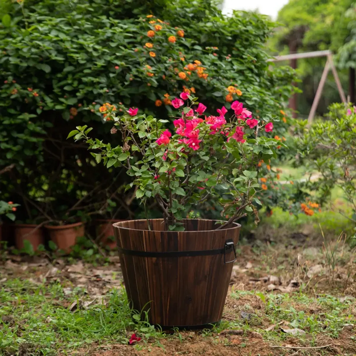 Wooden Whiskey Barrel Planters, Large