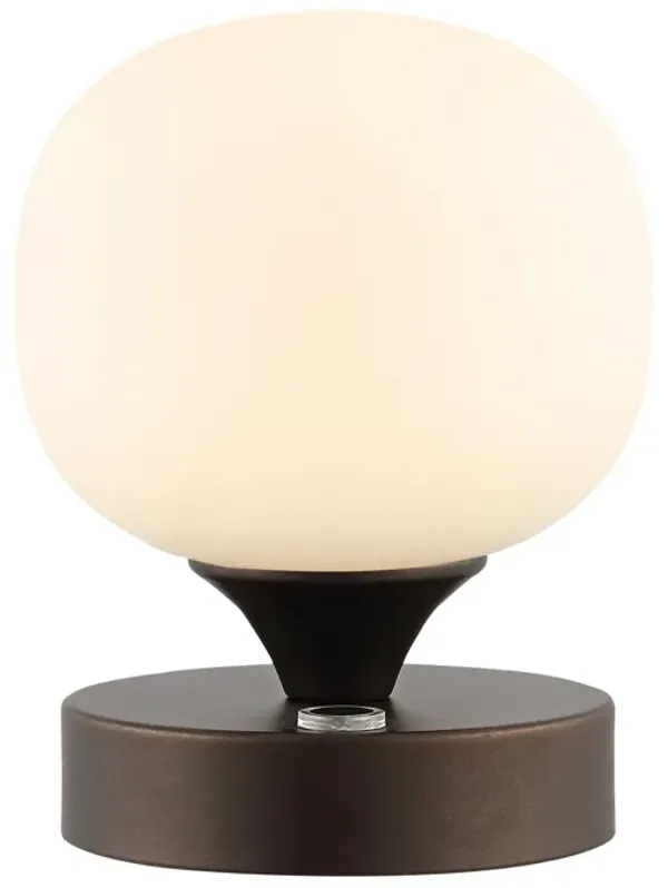 Owen Bohemian Farmhouse Iron Rechargeable Integrated LED Table Lamp