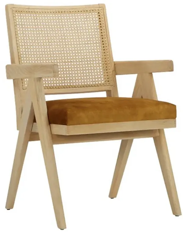 Isha 24 Inch Armchair with Cane Back, Gold Brown Velvet, Brown Wood Frame - Benzara
